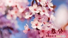 春分的由来，春分节气：春分是哪一天春分的由来及习俗等