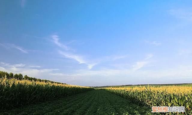 冬天分为哪三个阶段，农业在人类史上经历了哪些发展阶段