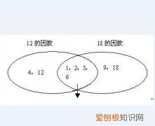 约数是什么意思，请问谁知道约数是什么意思啊?我急用啊？