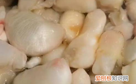 鱼泡怎么做好吃家常,鱼泡怎么做才好吃又简单