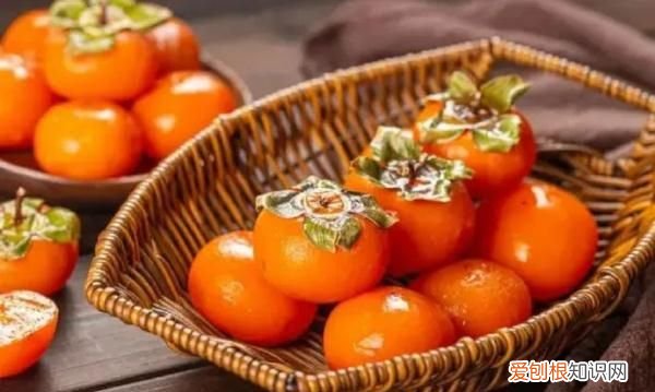 霜降节吃柿子什么时间最佳,枫染红山霜降