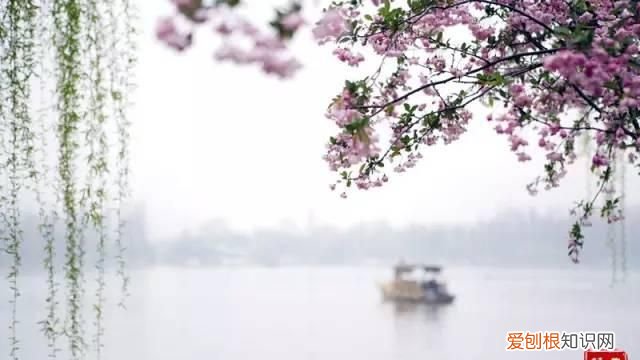 十首忆江南诗画足以醉千年