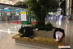 机场可以过夜么，机场贵宾休息室可以过夜