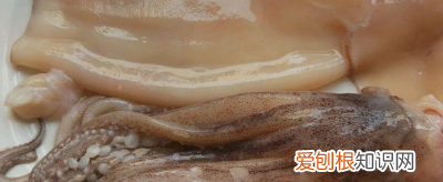 鱿鱼汤的简单做法大全,家常鱿鱼的做法最简单