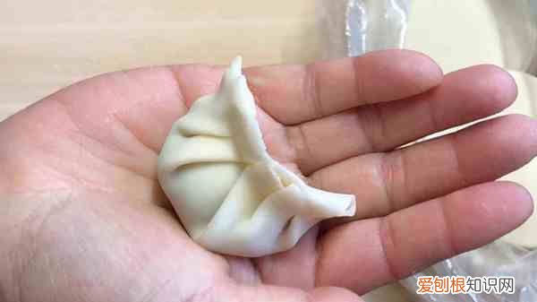 翻饺子的做法，包饺子手法教程视频
