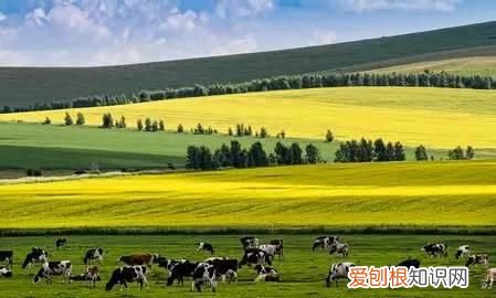 锦绣未央中的大魏是什么朝代