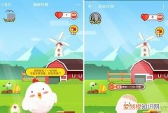 蚂蚁庄园怎么喂高级饲料，蚂蚁庄园应该怎么才可以领饲料