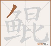 鲲怎么读