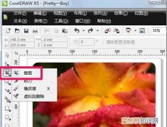 cdr应该如何才可以打开图片，cdr能不能同时打开多张图片