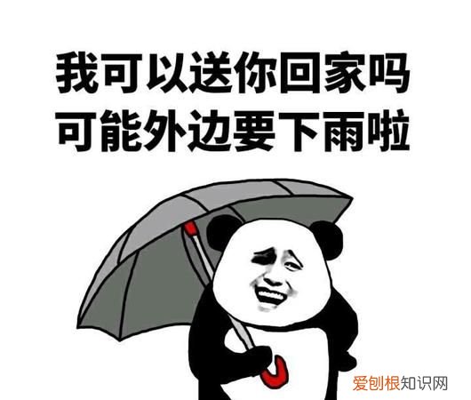 不想送你回家的人下一句