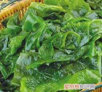 裙带菜如何保存，火锅店泡好的裙带菜怎么保存