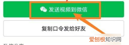 抖音里的文案如何复制粘贴,抖音可以怎样进行复制链接到微信里面