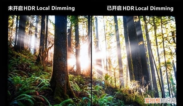 miniled背光显示技术龙头!