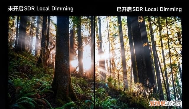 miniled背光显示技术龙头!