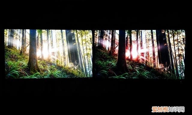 miniled背光显示技术龙头!