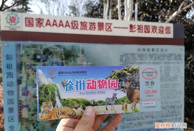 徐州动物园地铁站是几号线