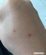 蜘蛛织的网会网住蜘蛛吗，蜘蛛织一个网要多长时间