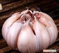 干大蒜怎样可以储存一年，干大蒜怎样保存一年内不发芽不变质