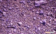 土龙骨是怎样形成的，紫色土壤是怎么形成的