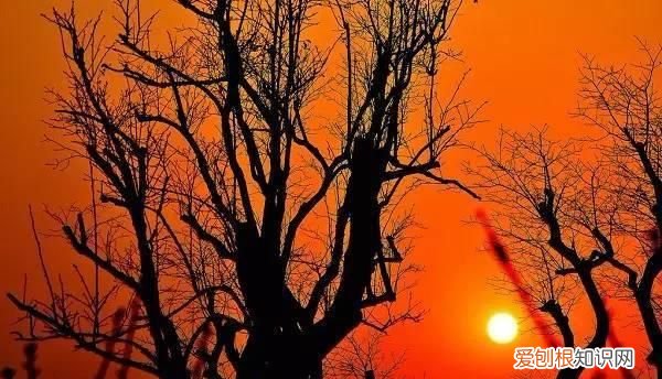 夕阳西下下一句，夕阳西下，小桥流水。静观花开花落，笑看云卷云舒。按这种格式对出下一句？