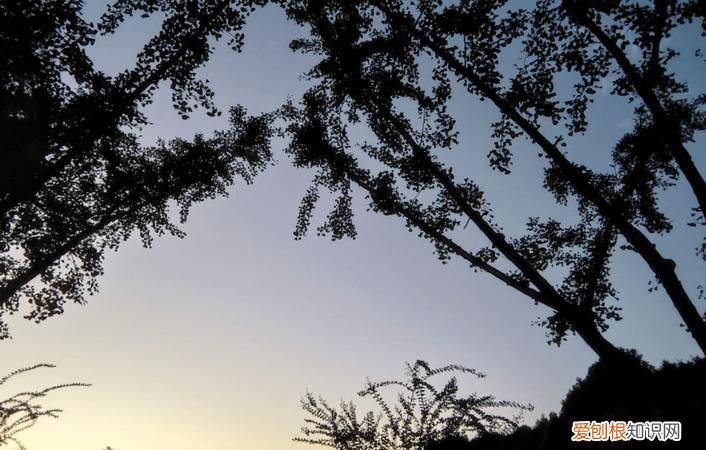 一日难再晨的上一句，诗句一日难再晨的前面一句？