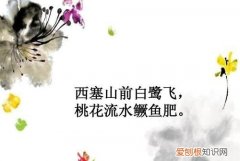 西塞山前白鹭飞的下一句