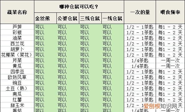 仓鼠吃什么水果,仓鼠可以吃什么水果