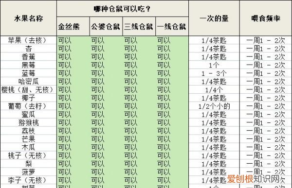 仓鼠吃什么水果,仓鼠可以吃什么水果