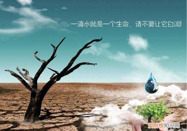 为什么说水是生命之源