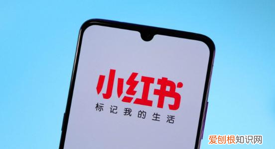 小红书崩了，为什么小红书总是网络不顺畅