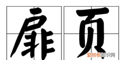 扉页指的哪一页，杂志里的封一、封二、封三、扉页、扉页第一跨页、第二跨页、内页硬插页