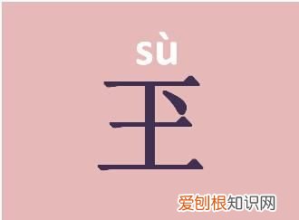 玊怎么读，“玉”字的点在右上方是什么字？