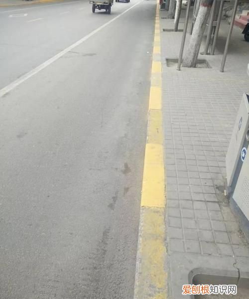 路缘石上的黄实线的含义是什么