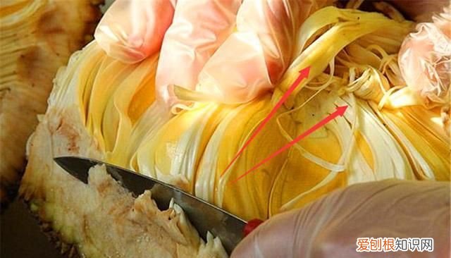 波萝蜜里面黄丝可以吃吗,菠萝蜜里面的白丝可以吃