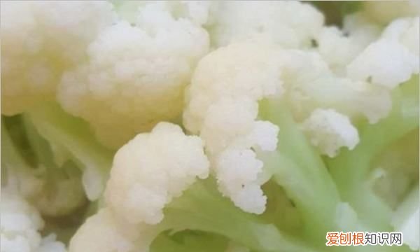 火锅简单好吃的做法，火锅怎么做好吃又简单的做法家常窍门