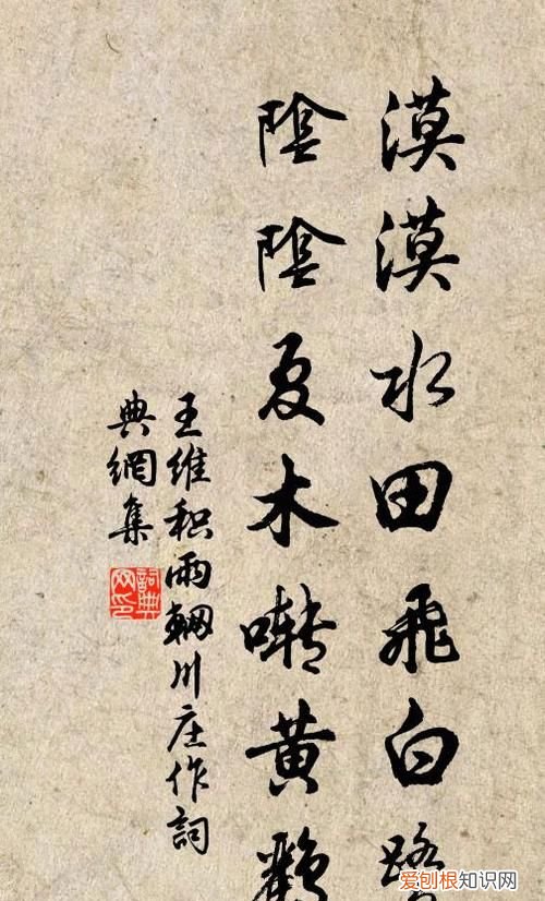 漠漠水田飞白鹭下一句，漠漠水田飞白鹭的偶句