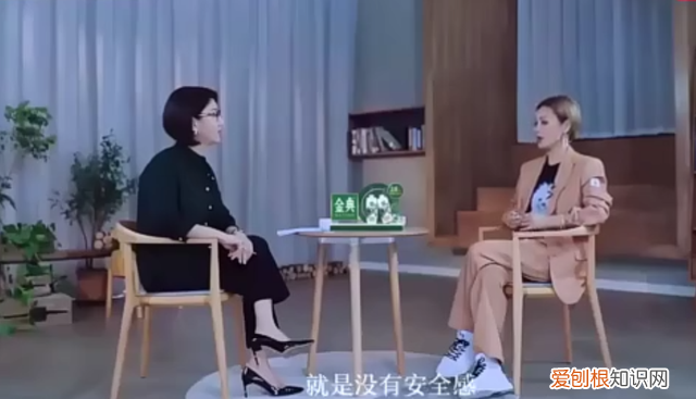 48岁宁静长大后的样子 45岁的宁静都经历了些什么