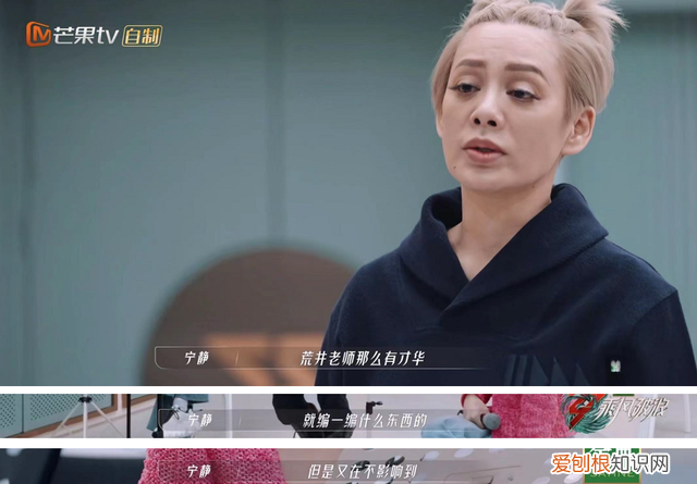 48岁宁静长大后的样子 45岁的宁静都经历了些什么