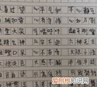 无什么无什么四字成语