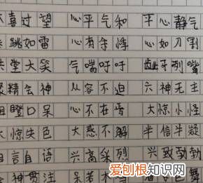 无什么无什么四字成语