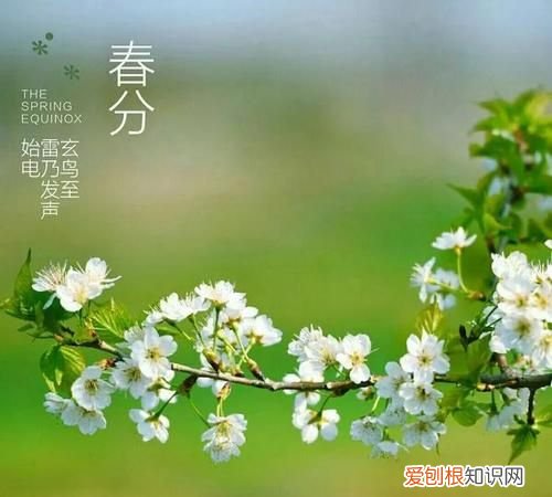 春分的美好象征,春天的寓意和象征