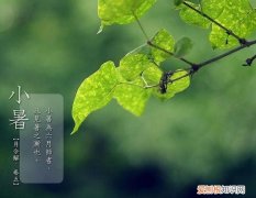 小暑是什么季节，小暑是几月几日