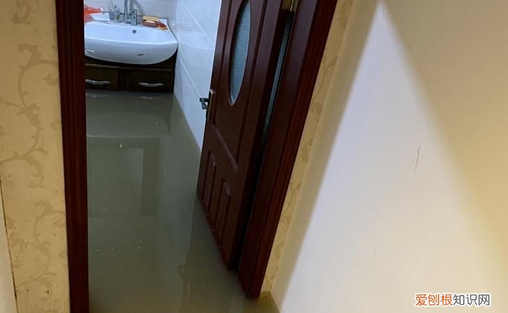 家里进水了怎么办排水，下水道进水怎么办下大雨下水道就冒水