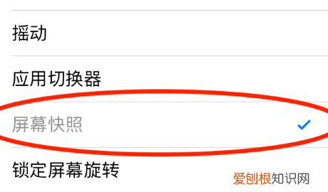 苹果手机怎么截屏，苹果手机可以怎样进行截图