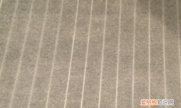 小腰是什么部位，烤串的腰子是什么动物的