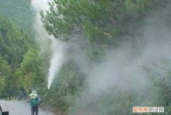 喷杀虫剂多久开窗通风，家里喷了杀虫剂猫咪多久可以回来