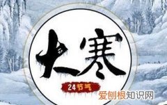 大寒是数九吗，冬雪雪冬雪大寒是什么意思