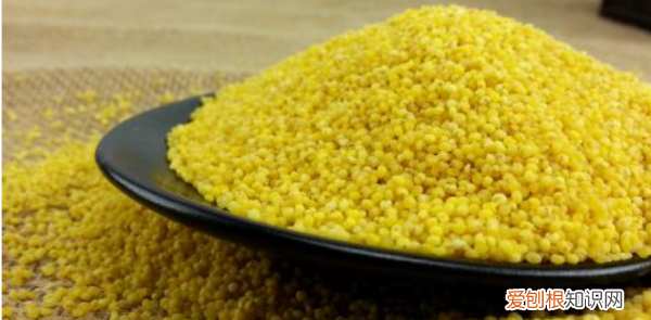 小米会过期，小米过保质期还能吃吗