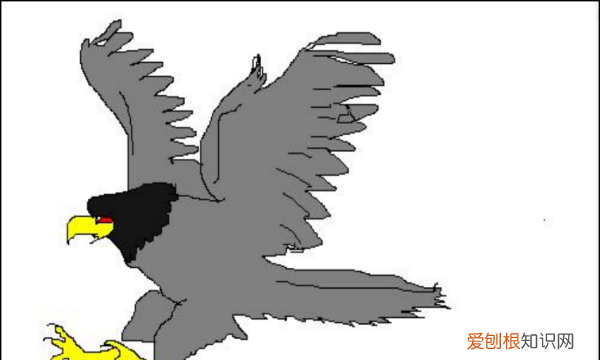 鹰怎么画，老鹰怎么画霸气