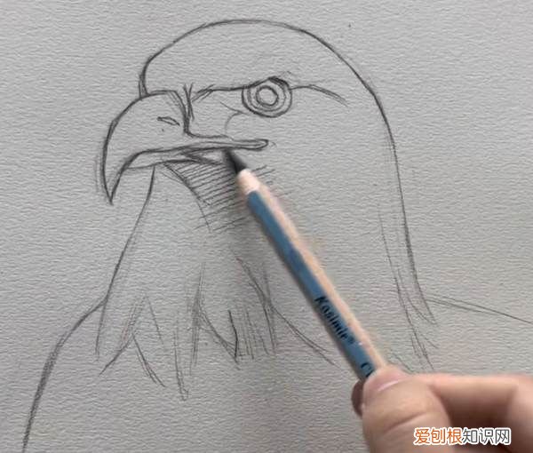 鹰怎么画，老鹰怎么画霸气